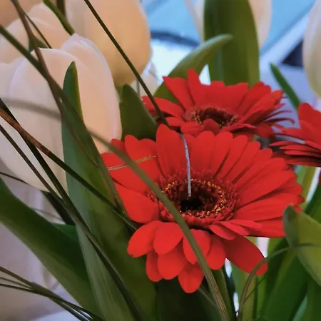 Frühstückspension La Maison De Celine Arry (Moselle)